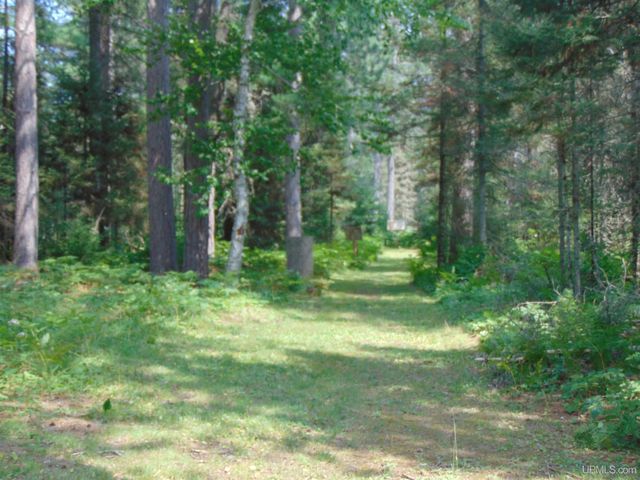 2072 Ff Hwy 16 Road, Iron River, MI 49935