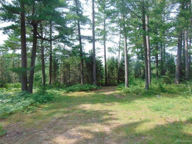 2072 Ff Hwy 16 Road, Iron River, MI 49935