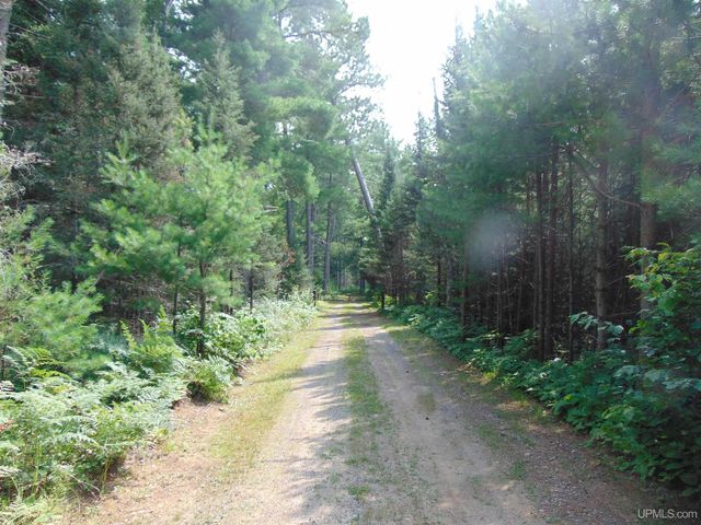 2072 Ff Hwy 16 Road, Iron River, MI 49935