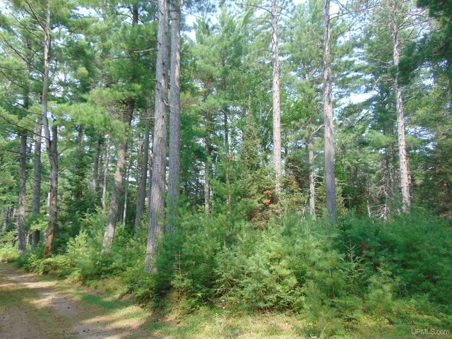 2072 Ff Hwy 16 Road, Iron River, MI 49935