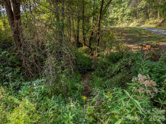 184 Crawford Hollow, Rutherfordton, NC 28139