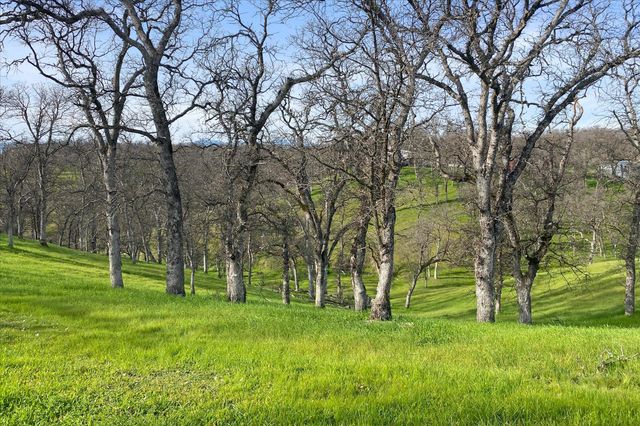 19725 Quercus Lobata Byway, Red Bluff, CA 96080