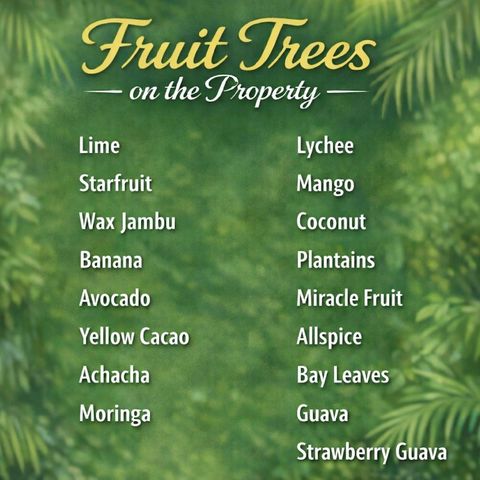 2614 NE 15th Street, Fort Lauderdale, FL 33304