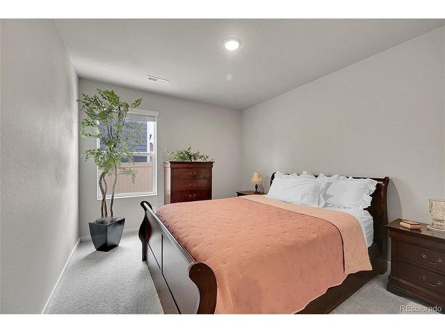 607 Apex Trl, Ault, CO 80610