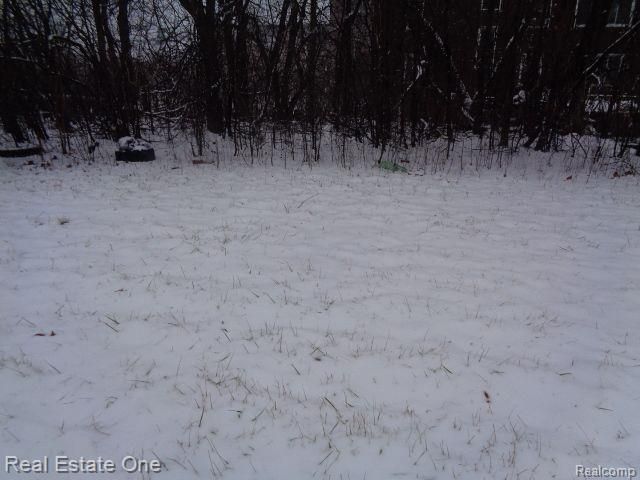 2691 Rochester Street, Detroit, MI 48206