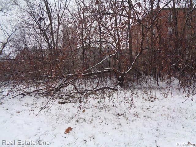 2691 Rochester Street, Detroit, MI 48206