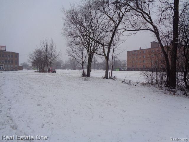 2691 Rochester Street, Detroit, MI 48206