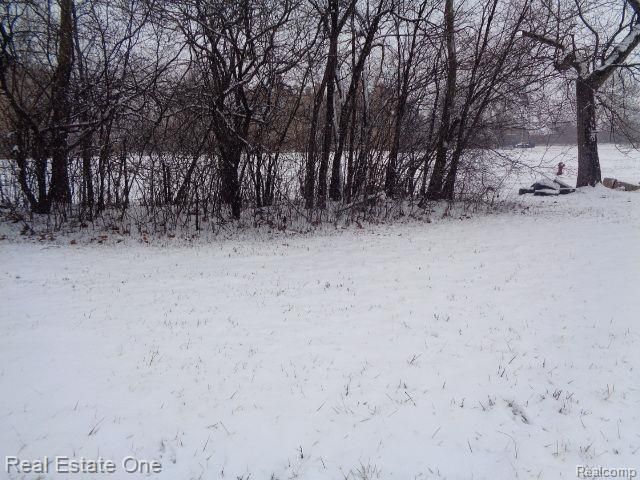 2691 Rochester Street, Detroit, MI 48206