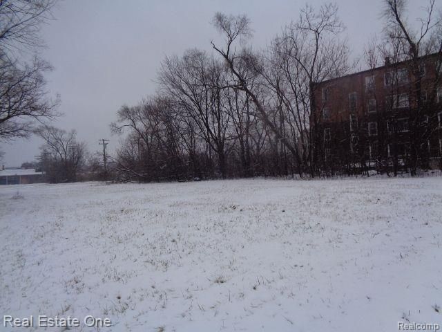 2691 Rochester Street, Detroit, MI 48206