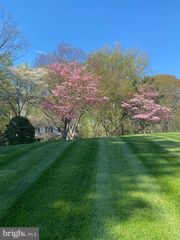 8 APPLE ROW, Kennett Square, PA 19348