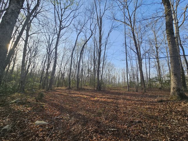 7 Fletcher Pickett Rd, Gruetli Laager, TN 37339