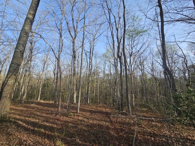 7 Fletcher Pickett Rd, Gruetli Laager, TN 37339