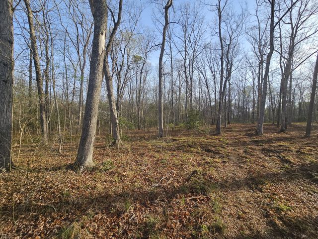 7 Fletcher Pickett Rd, Gruetli Laager, TN 37339
