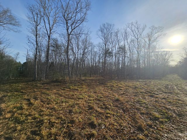 7 Fletcher Pickett Rd, Gruetli Laager, TN 37339
