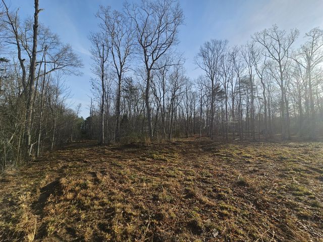 7 Fletcher Pickett Rd, Gruetli Laager, TN 37339