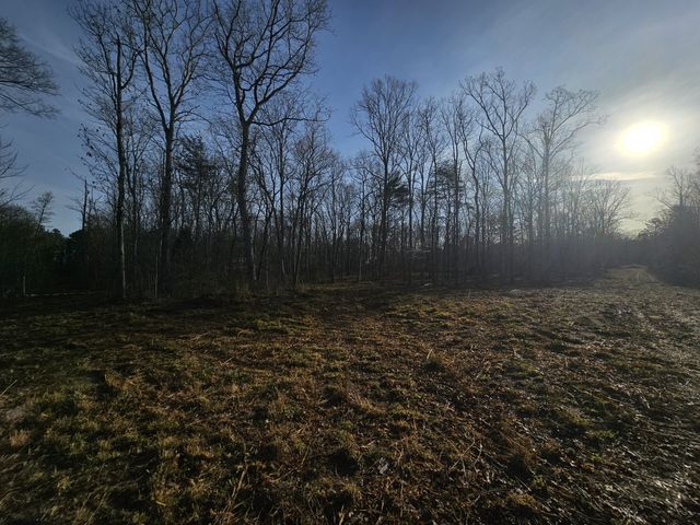 7 Fletcher Pickett Rd, Gruetli Laager, TN 37339