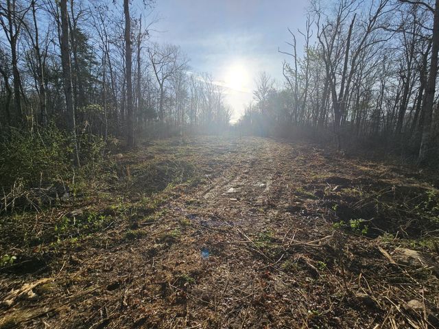 7 Fletcher Pickett Rd, Gruetli Laager, TN 37339