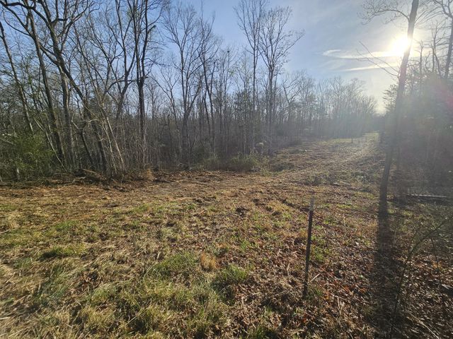 7 Fletcher Pickett Rd, Gruetli Laager, TN 37339