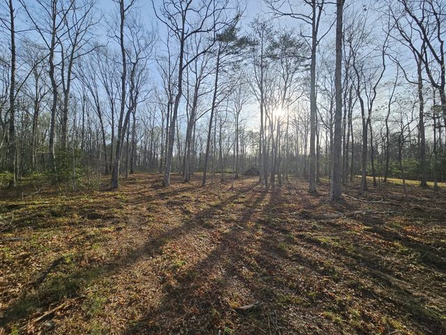 7 Fletcher Pickett Rd, Gruetli Laager, TN 37339