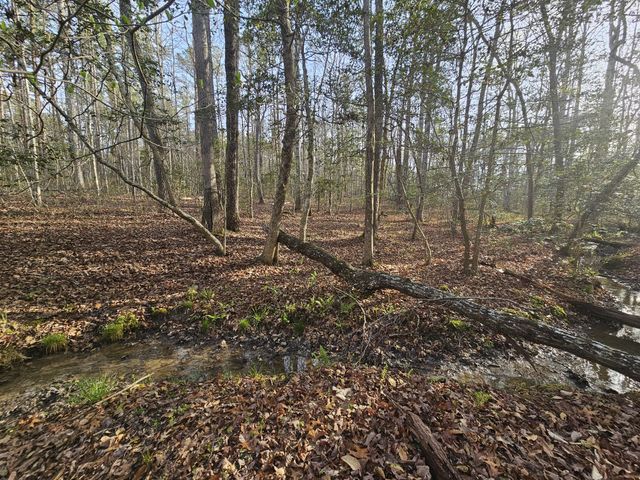 7 Fletcher Pickett Rd, Gruetli Laager, TN 37339