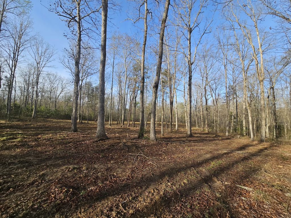 7 Fletcher Pickett Rd, Gruetli Laager, TN 37339
