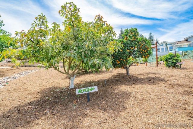 460 Rancho Camino, Fallbrook, CA 92028