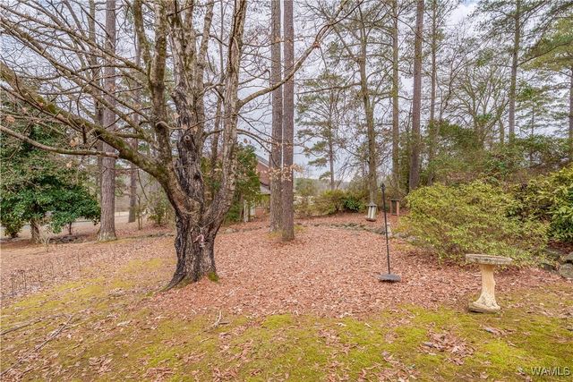 5043 Pinewood, Tuscaloosa, AL 35405
