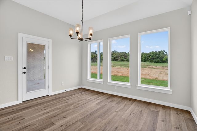 317 Skeen Peak, Springtown, TX 76082