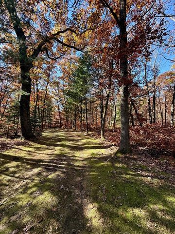 3374 W 12th Street, Baldwin, MI 49304