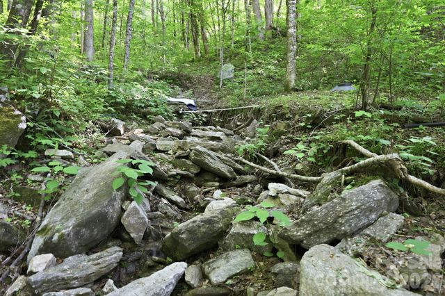 98 Sparkling Springs Road, Fairview, NC 28730