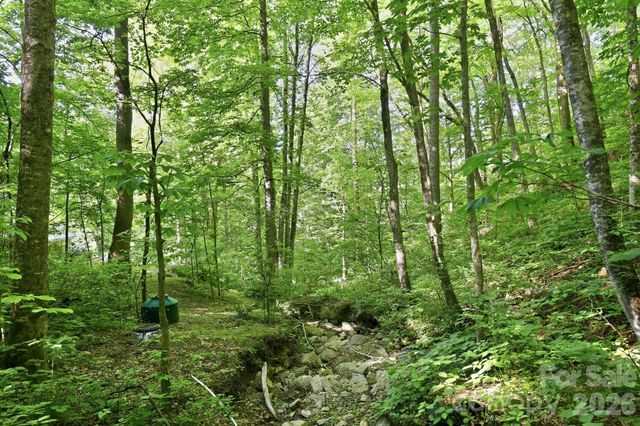 98 Sparkling Springs Road, Fairview, NC 28730