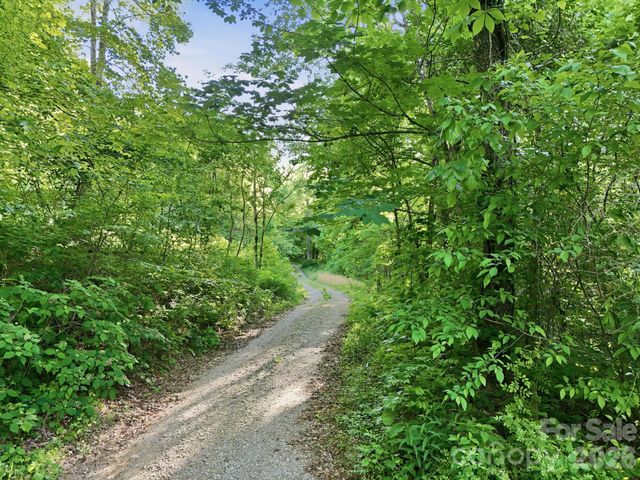 98 Sparkling Springs Road, Fairview, NC 28730