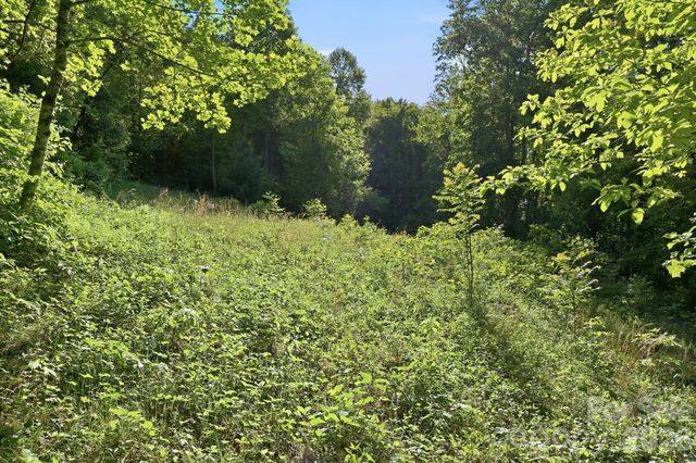 98 Sparkling Springs Road, Fairview, NC 28730