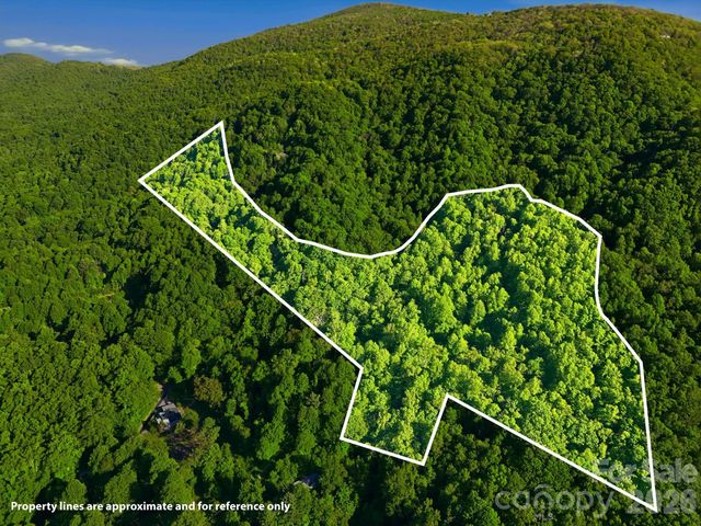 98 Sparkling Springs Road, Fairview, NC 28730