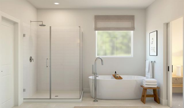 1817 Tanzanite, Manteca, CA 95336