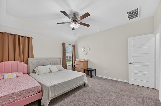 10121 High Grade Drive, Aubrey, TX 76227