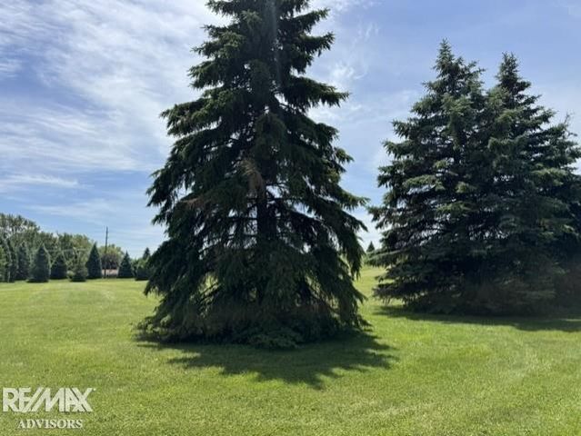 19314 Cooper Street, Clinton Township, MI 48038