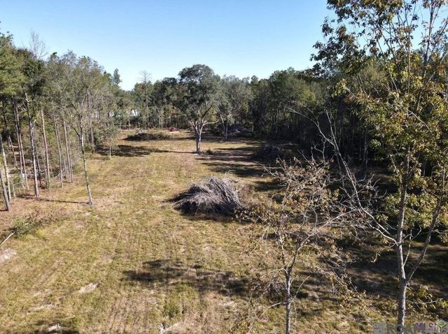 3315 Nesom Rd, Denham Springs, LA 70706