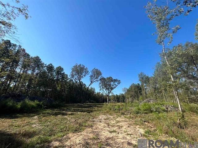 3315 Nesom Rd, Denham Springs, LA 70706