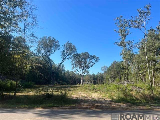 3315 Nesom Rd, Denham Springs, LA 70706