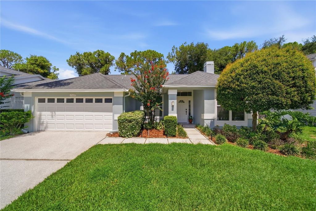17633 ESPRIT DRIVE, Tampa, FL 33647