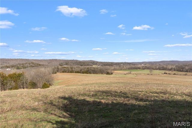 1733 Schluersburg Road, Augusta, MO 63332