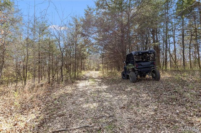 1733 Schluersburg Road, Augusta, MO 63332