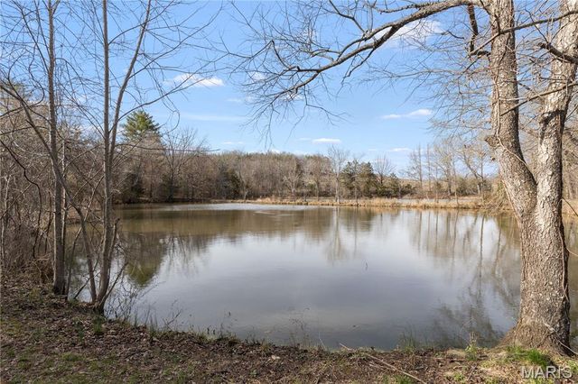 1733 Schluersburg Road, Augusta, MO 63332