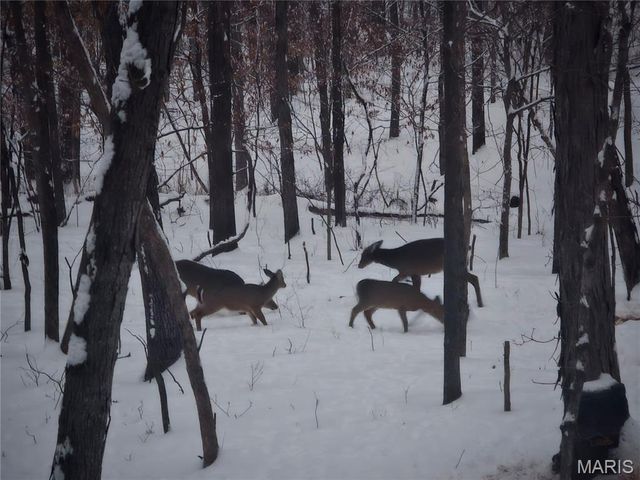 1733 Schluersburg Road, Augusta, MO 63332