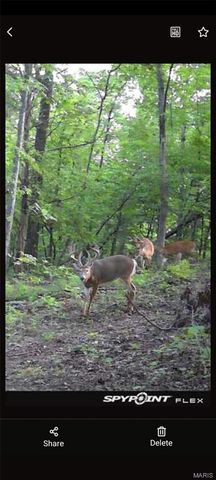 1733 Schluersburg Road, Augusta, MO 63332