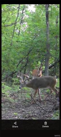 1733 Schluersburg Road, Augusta, MO 63332