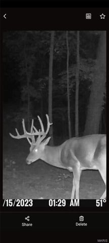 1733 Schluersburg Road, Augusta, MO 63332