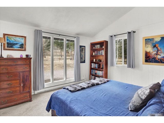 249 Burland Dr, Bailey, CO 80421