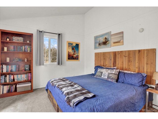 249 Burland Dr, Bailey, CO 80421